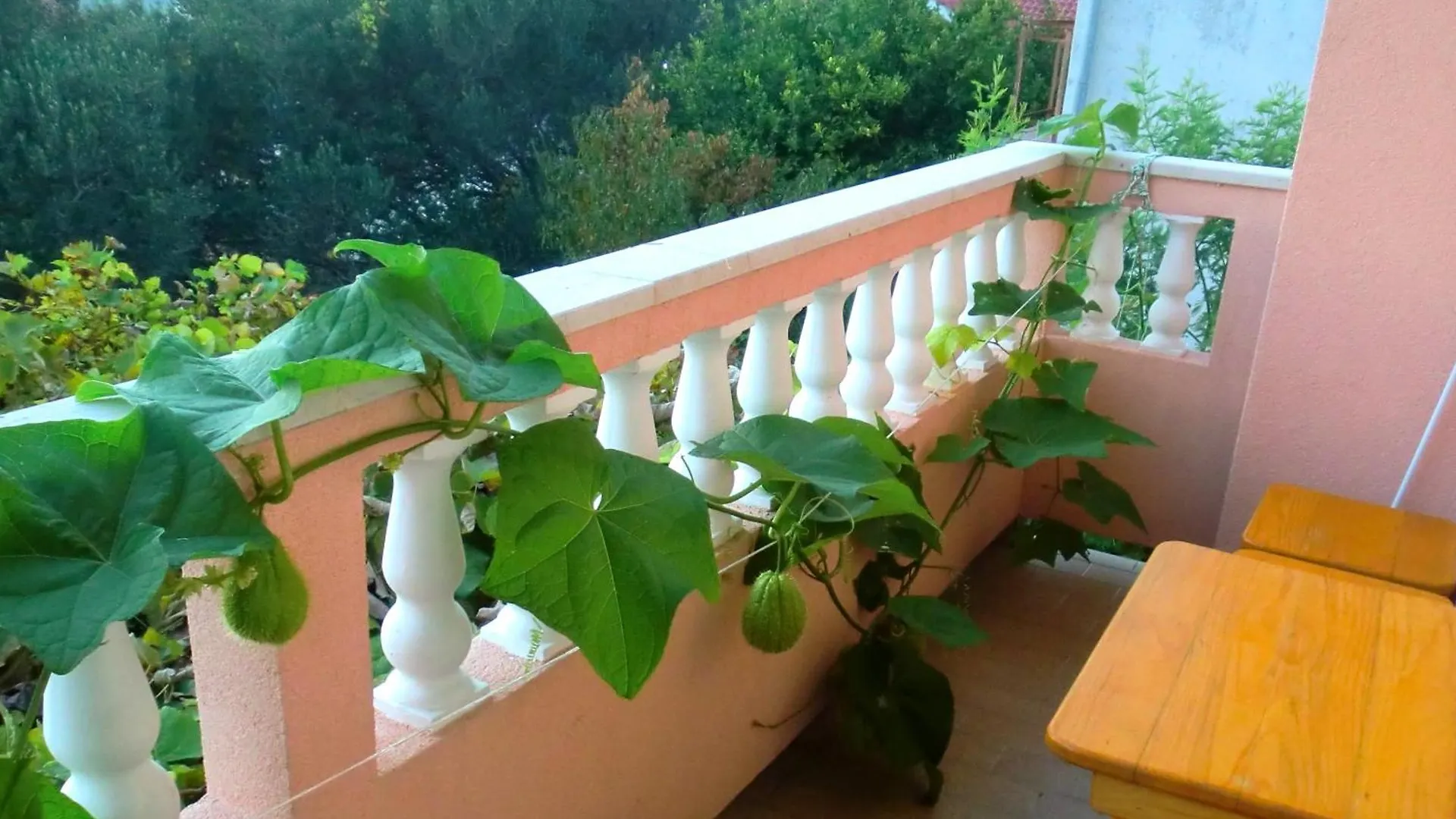 House Lydia Apartment Banjol Croatia